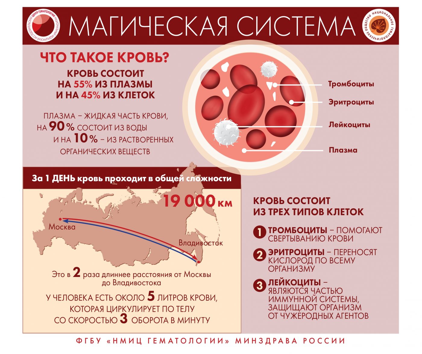 Инфографика о заболеваниях системы крови | 18.04.2023 | Нижний Новгород -  БезФормата