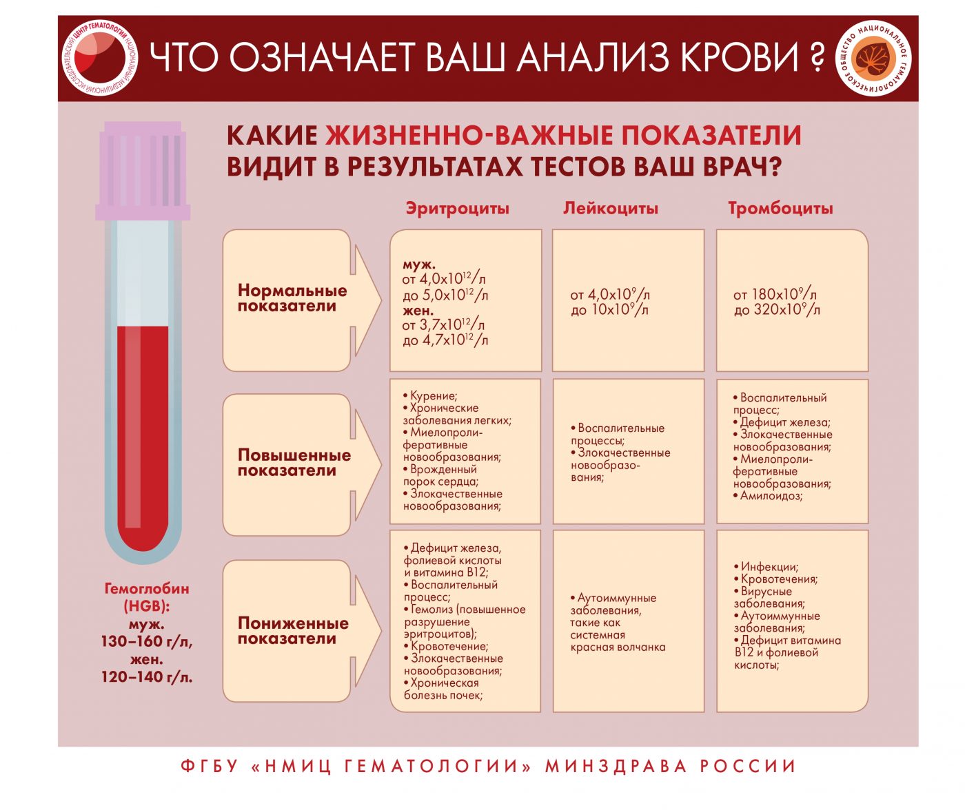 Инфографика о заболеваниях системы крови | 18.04.2023 | Нижний Новгород -  БезФормата